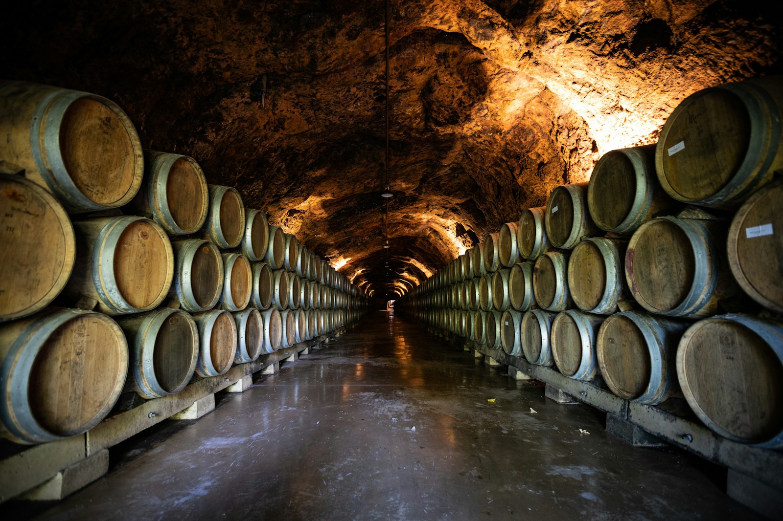 Cava subterránea de Finca Diamante con barricas de roble