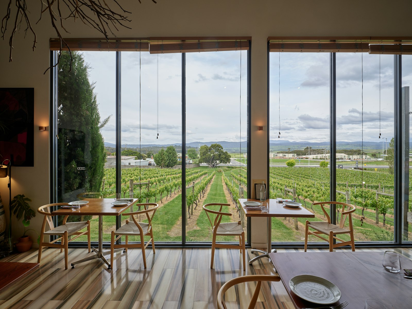 Comedor de Finca Diamante con vista a las filas de viñedo